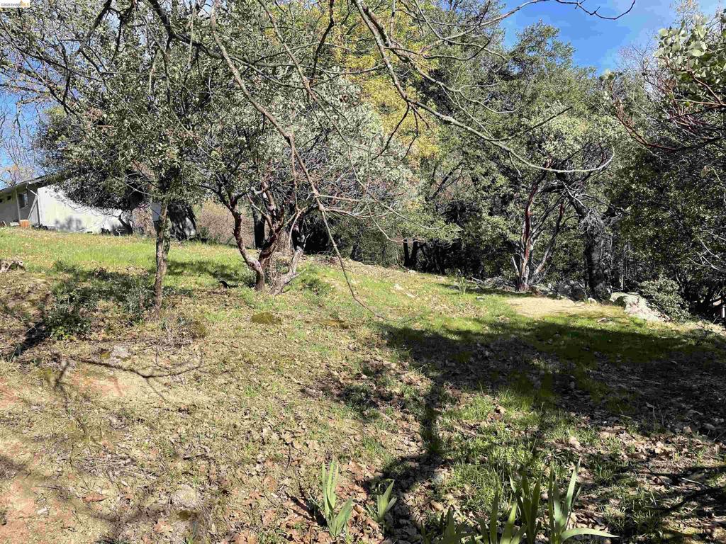 16505 S Creekside Dr, Sonora, CA 95370