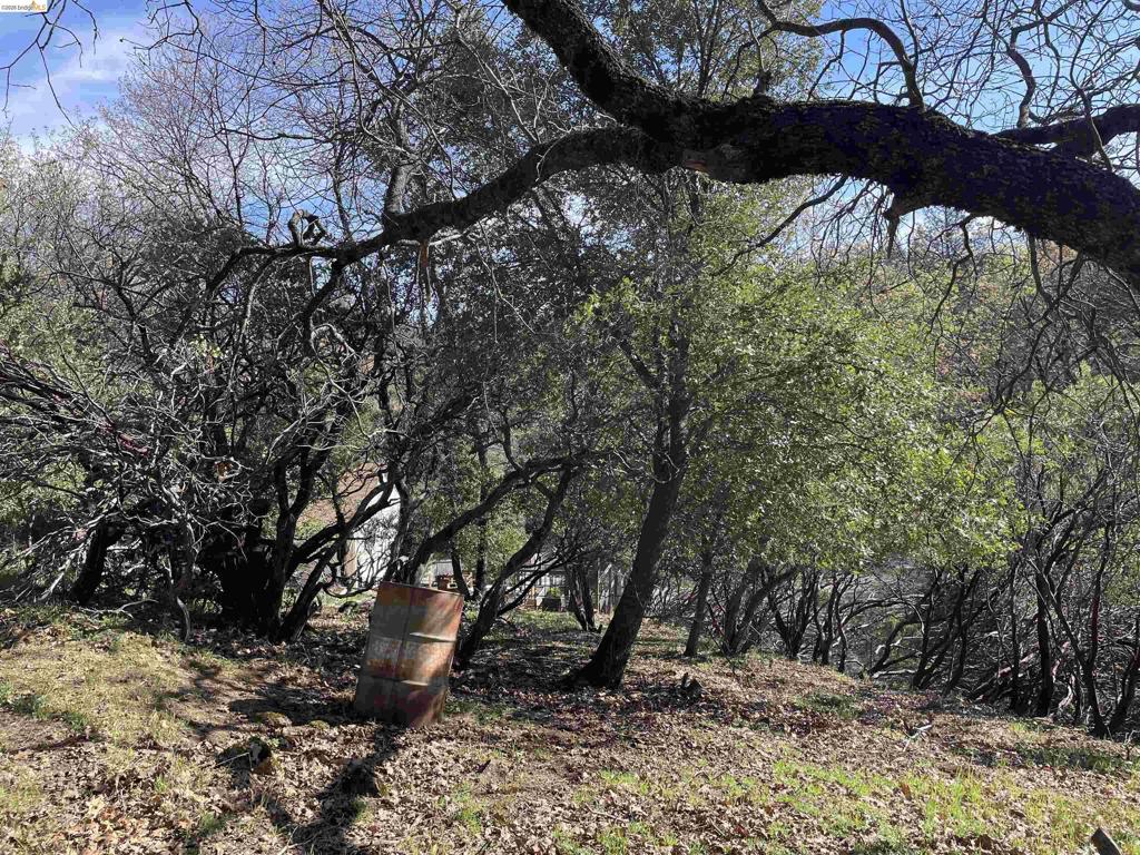 16505 S Creekside Dr, Sonora, CA 95370