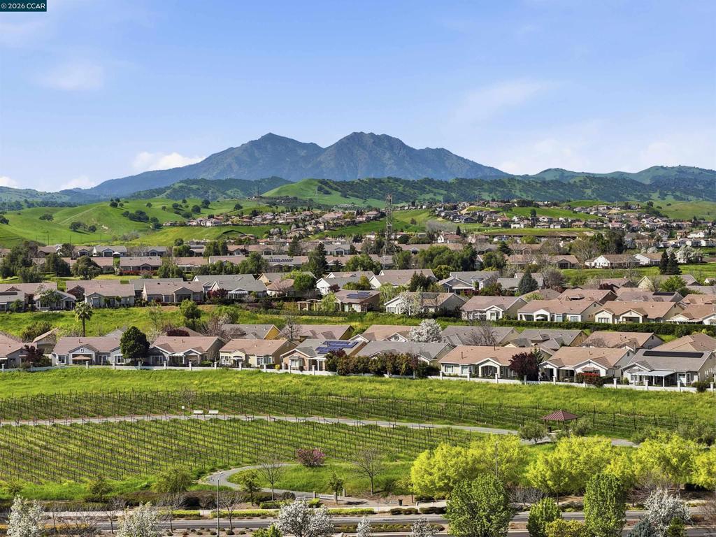 1463 Bismarck Ln, Brentwood (CC), CA 94513