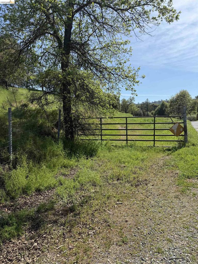 8534 Wilcox Ranch Road, Sonora, CA 95370