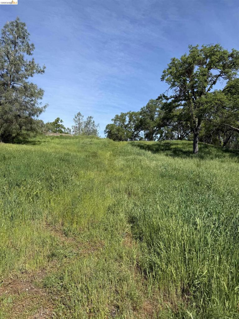 8534 Wilcox Ranch Road, Sonora, CA 95370
