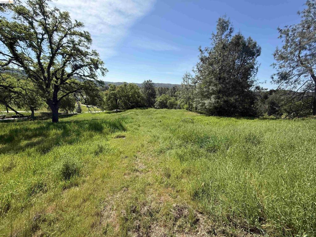 8534 Wilcox Ranch Road, Sonora, CA 95370