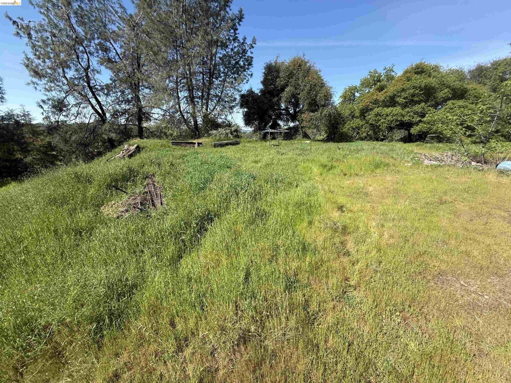 8534 Wilcox Ranch Road, Sonora, CA 95370