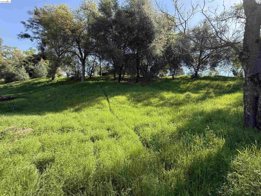 8534 Wilcox Ranch Road, Sonora, CA 95370