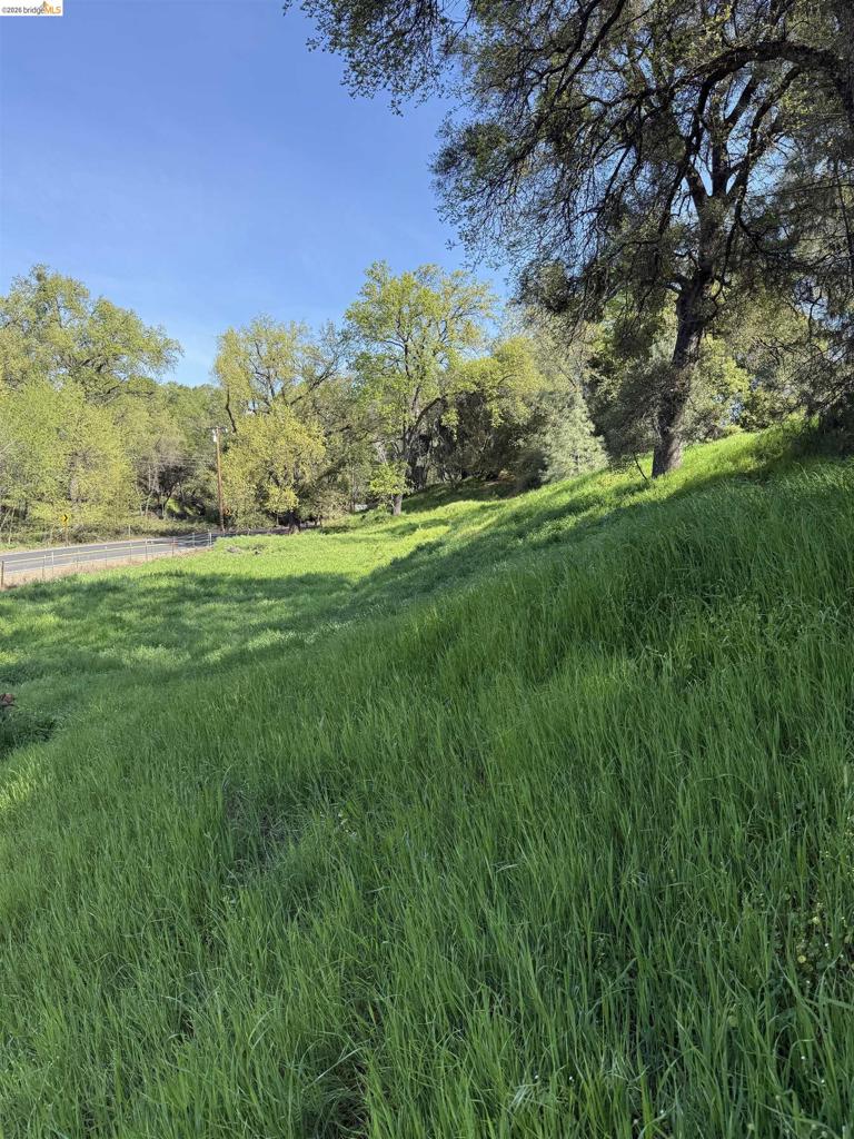 8534 Wilcox Ranch Road, Sonora, CA 95370