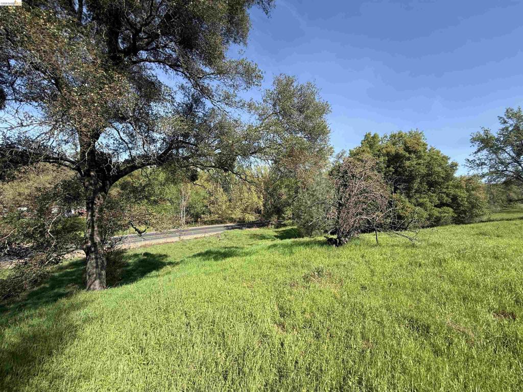 8534 Wilcox Ranch Road, Sonora, CA 95370