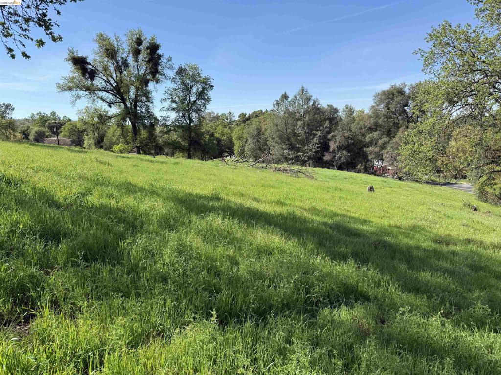 8534 Wilcox Ranch Road, Sonora, CA 95370