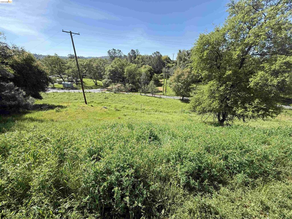 8534 Wilcox Ranch Road, Sonora, CA 95370