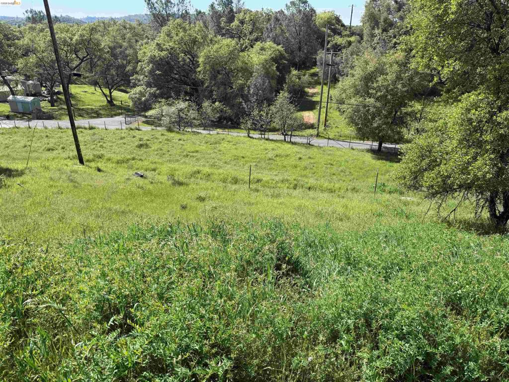 8534 Wilcox Ranch Road, Sonora, CA 95370