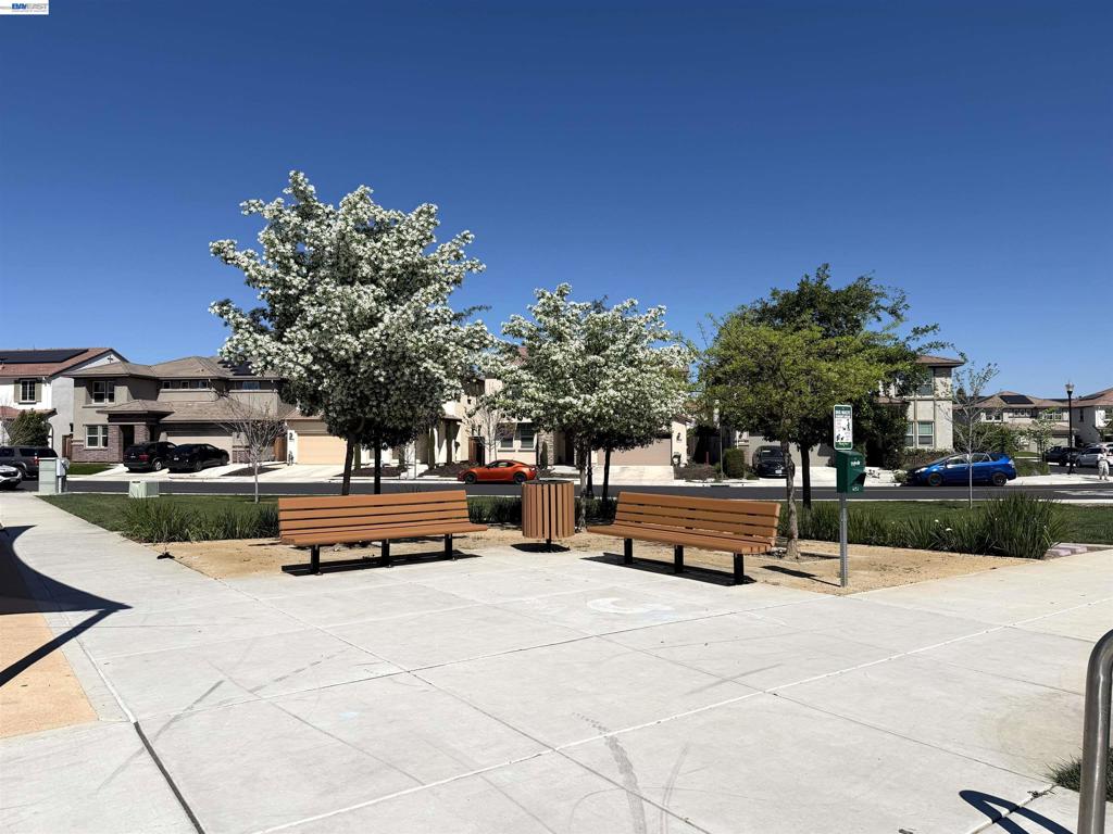 204 Wooley Creek Way, Brentwood (CC), CA 94513