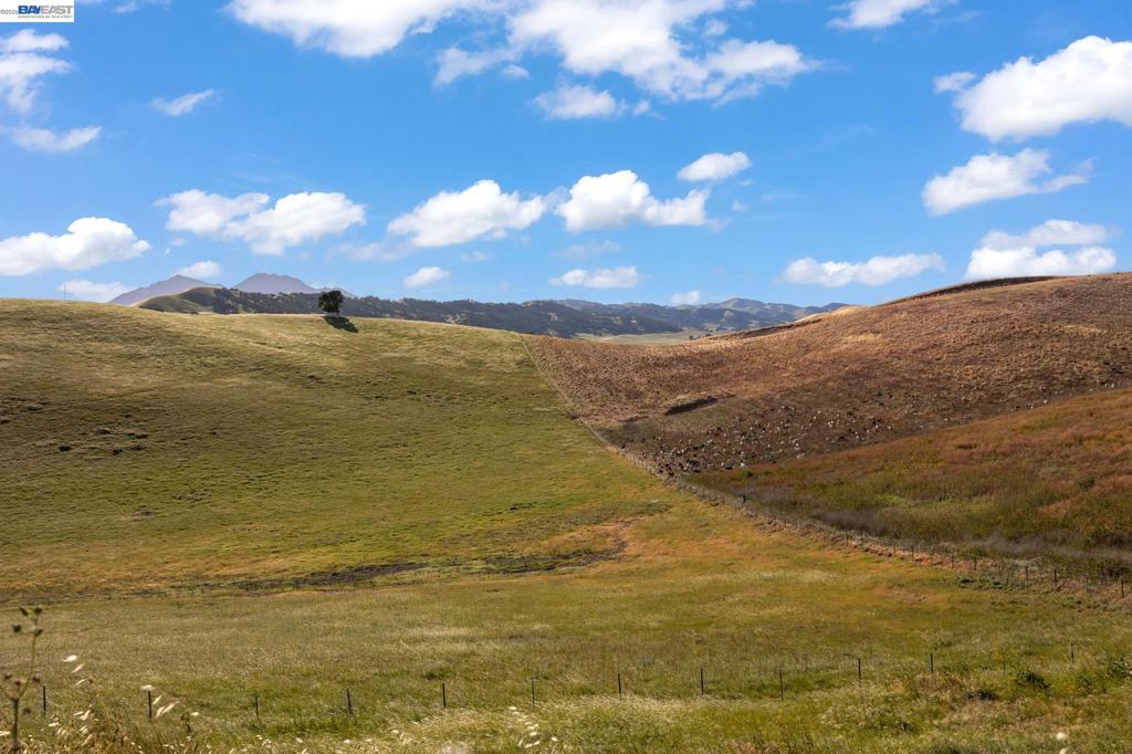 1021 Pacific Grove Ct, Brentwood (CC), CA 94513