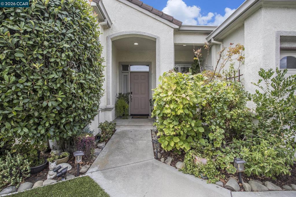 451 Tayberry Ln, Brentwood (CC), CA 94513