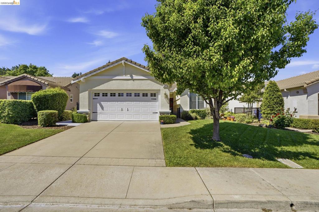 481 Coronation Dr, Brentwood (CC), CA 94513