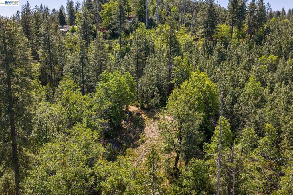 20800 Mount Provo Road, Twain Harte, CA 95383