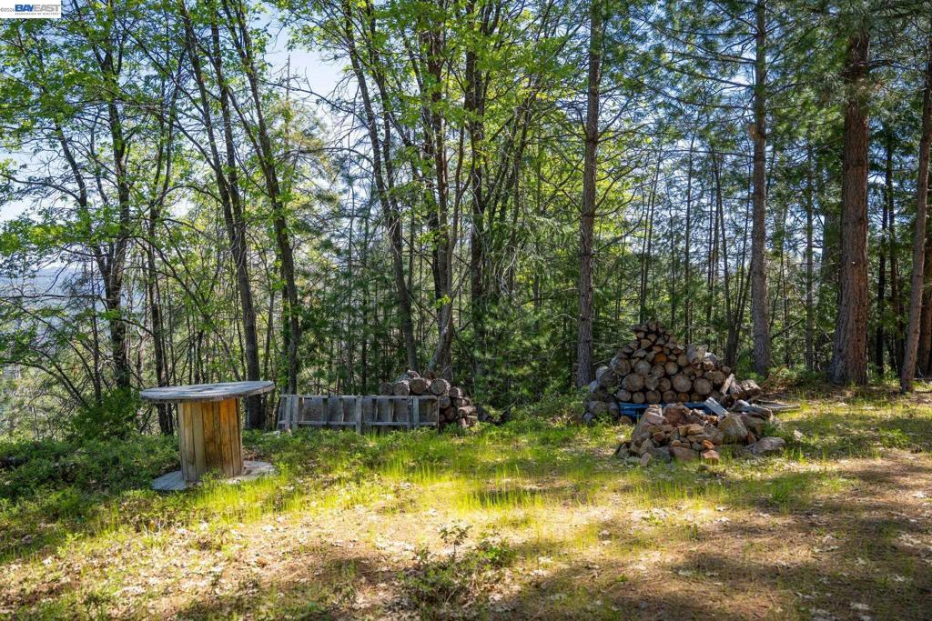 20800 Mount Provo Road, Twain Harte, CA 95383