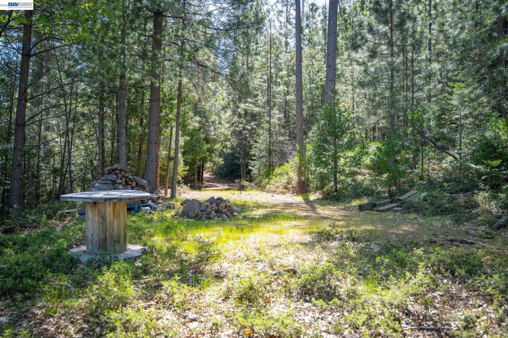 20800 Mount Provo Road, Twain Harte, CA 95383