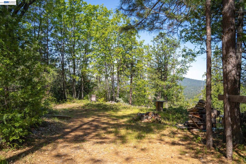 20800 Mount Provo Road, Twain Harte, CA 95383