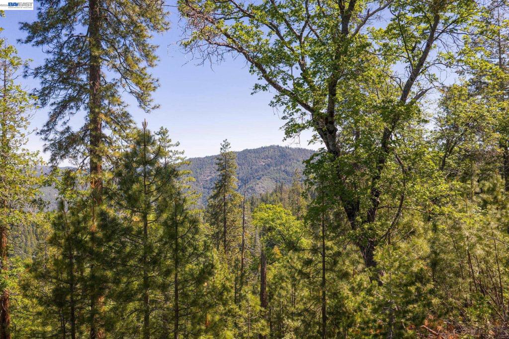 20800 Mount Provo Road, Twain Harte, CA 95383