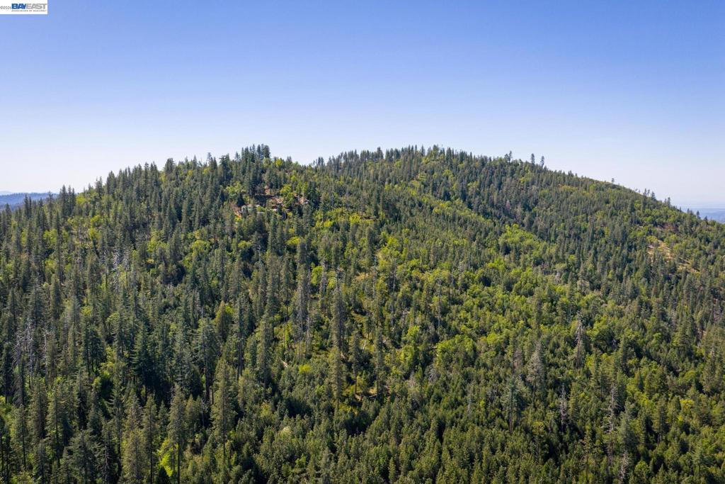 20800 Mount Provo Road, Twain Harte, CA 95383