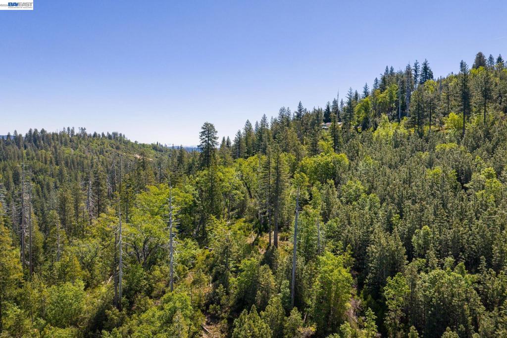 20800 Mount Provo Road, Twain Harte, CA 95383