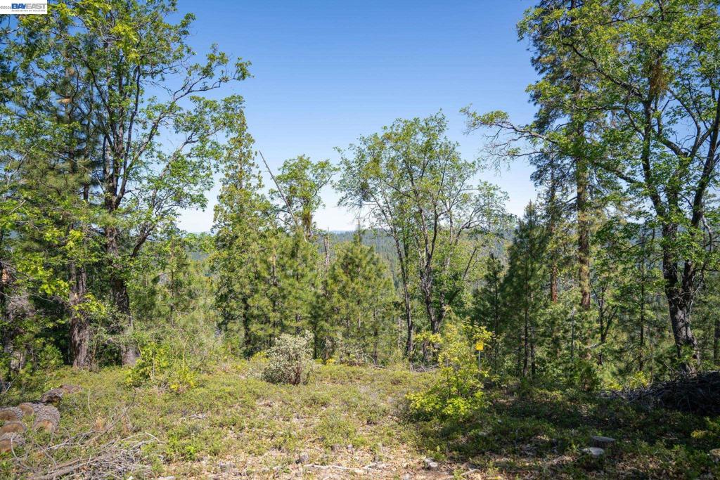 20800 Mount Provo Road, Twain Harte, CA 95383