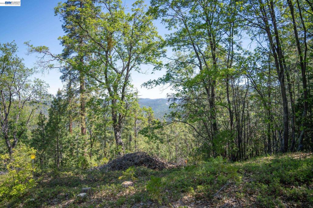 20800 Mount Provo Road, Twain Harte, CA 95383