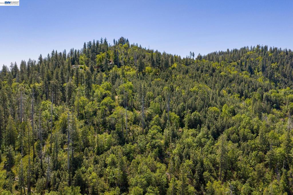 20800 Mount Provo Road, Twain Harte, CA 95383