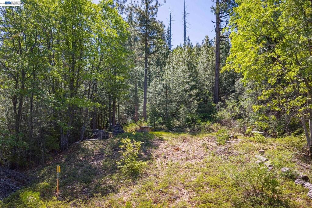 20800 Mount Provo Road, Twain Harte, CA 95383