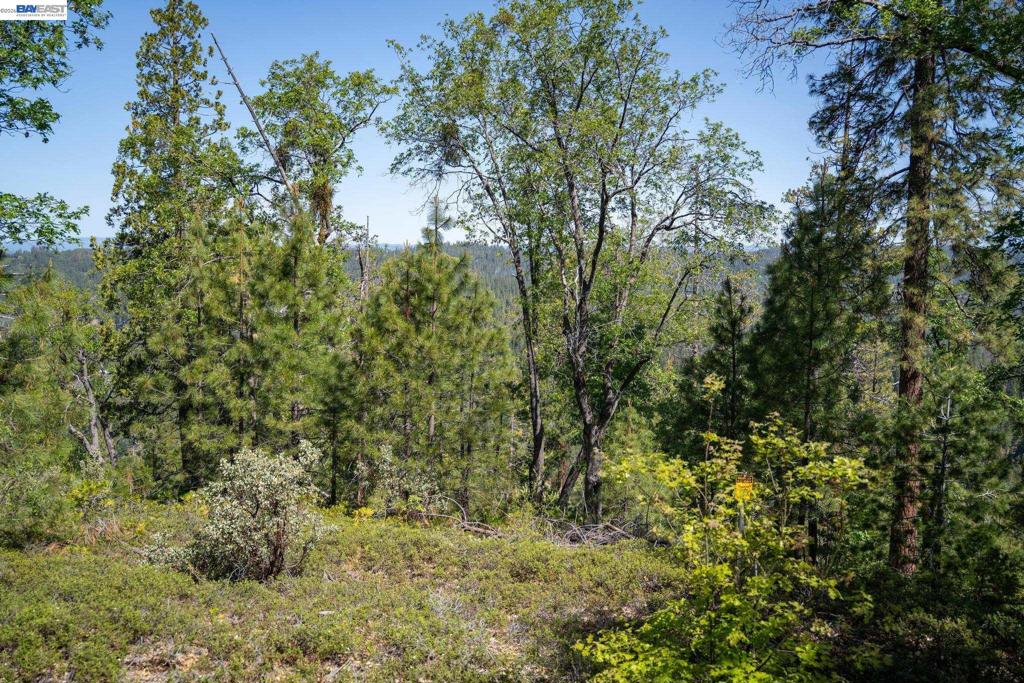 20800 Mount Provo Road, Twain Harte, CA 95383