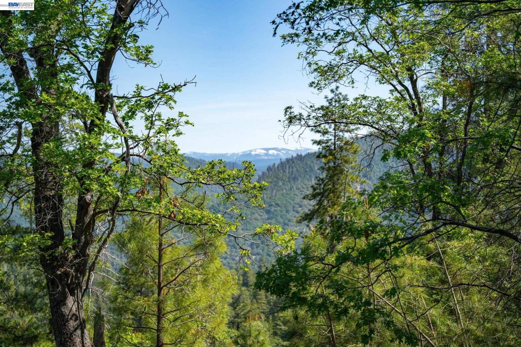 20800 Mount Provo Road, Twain Harte, CA 95383