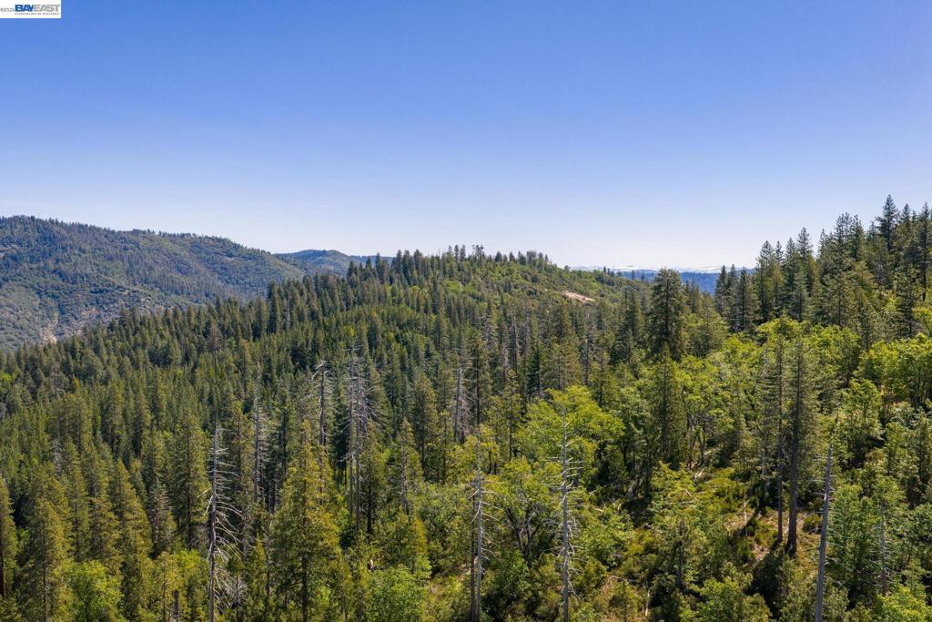 20800 Mount Provo Road, Twain Harte, CA 95383