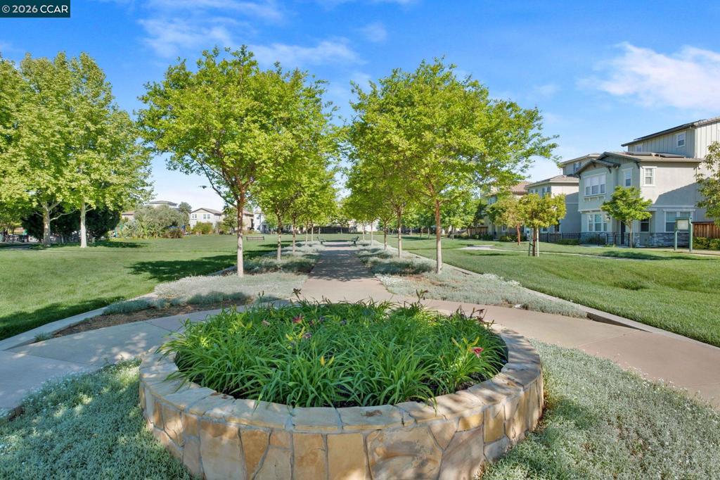 312 MacArthur Way, Brentwood (CC), CA 94513