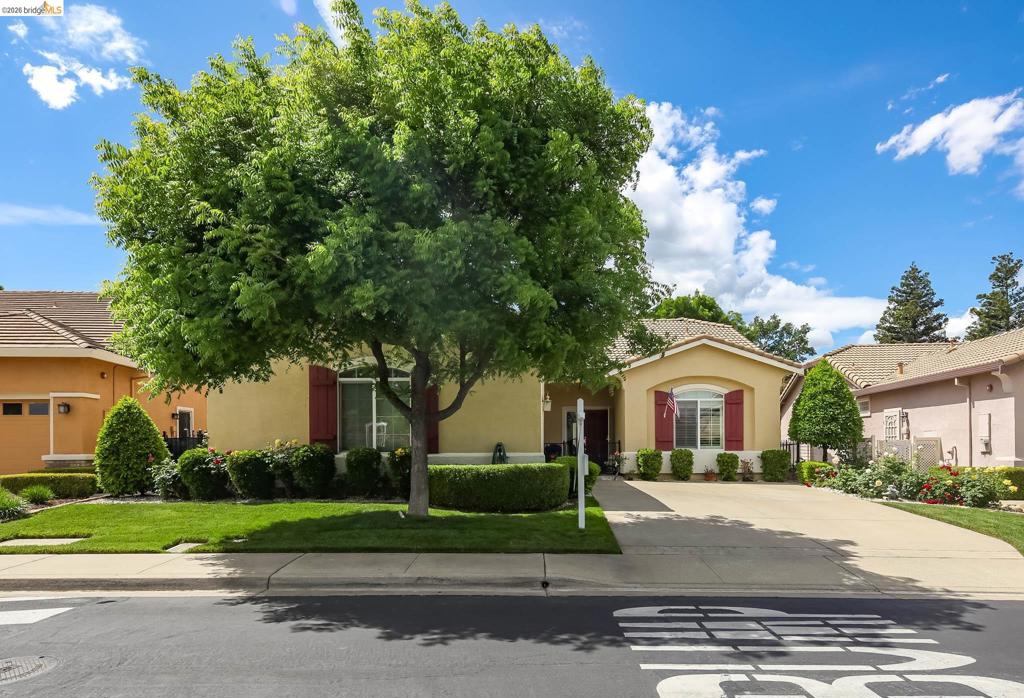 485 Coronation Dr, Brentwood (CC), CA 94513