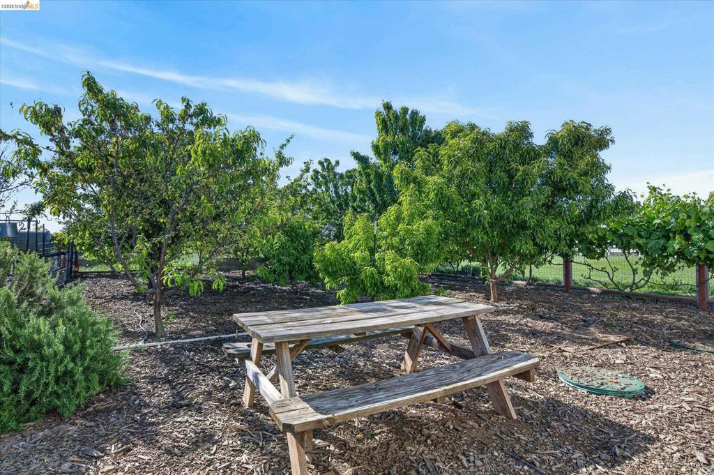 2151 Bartels Dr, Brentwood (CC), CA 94548