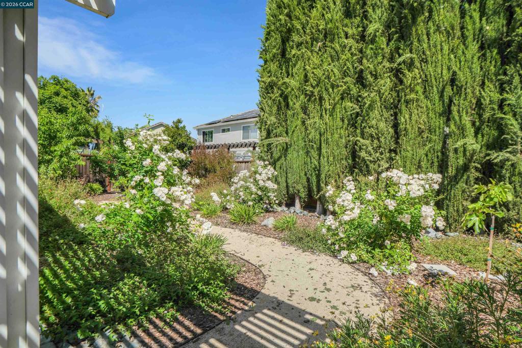 955 Woodsong Ln, Brentwood (CC), CA 94513