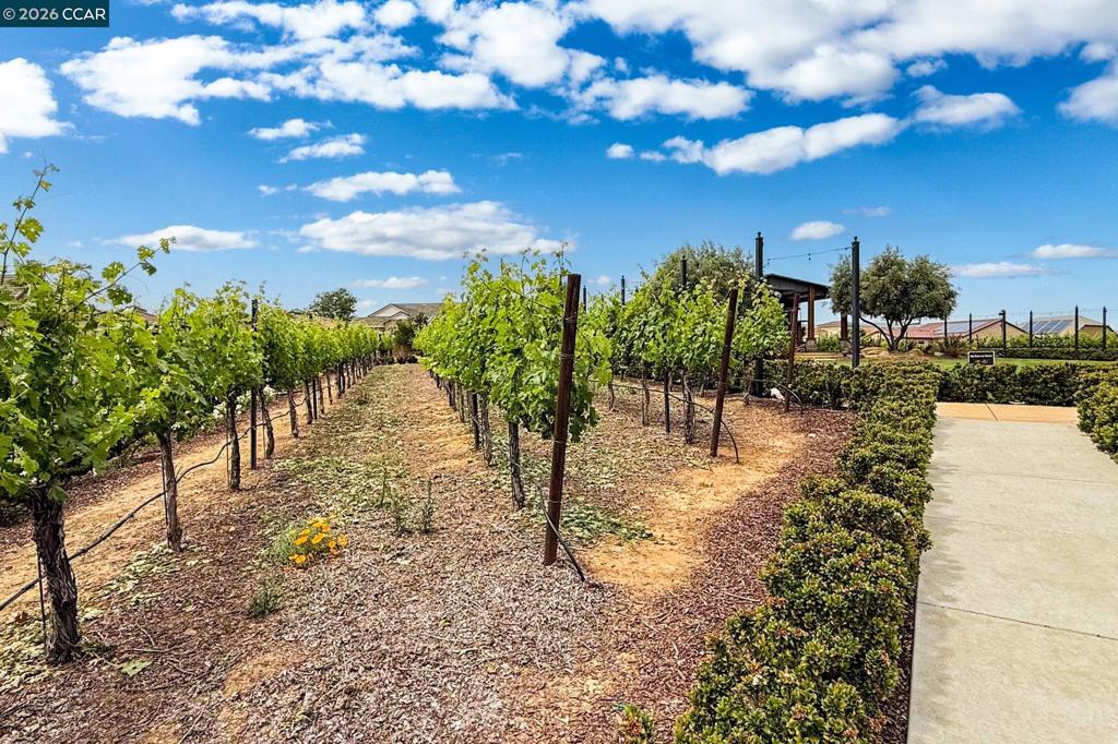 1760 Merlot Cir, Brentwood (CC), CA 94513