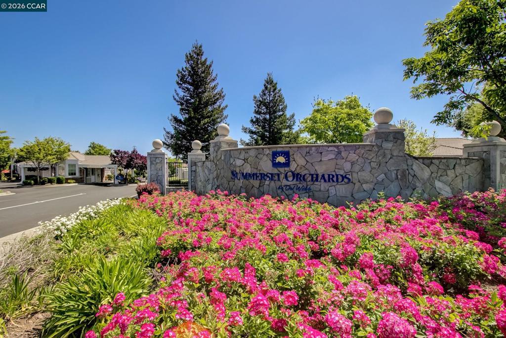 1118 Jonagold Way, Brentwood (CC), CA 94513