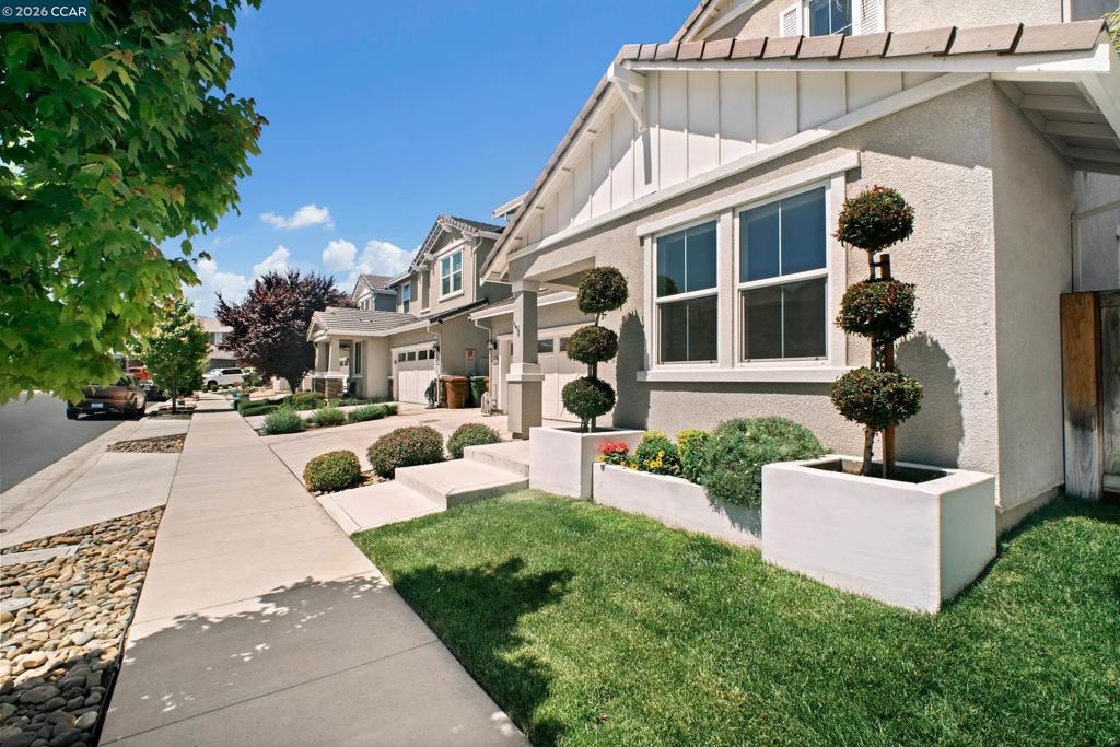 163 Canary Creek Way, Brentwood (CC), CA 94513