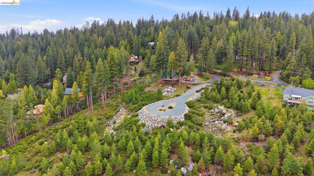29965 Mariposa Drive, Cold Springs, CA 95335