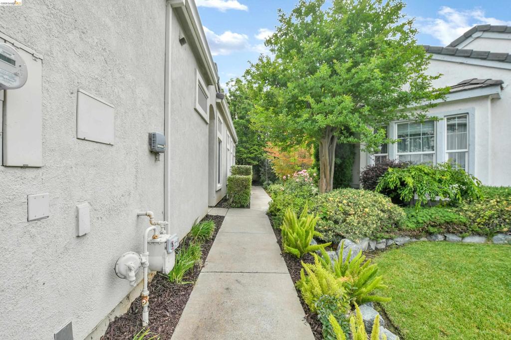 276 Black Amber Way, Brentwood (CC), CA 94513