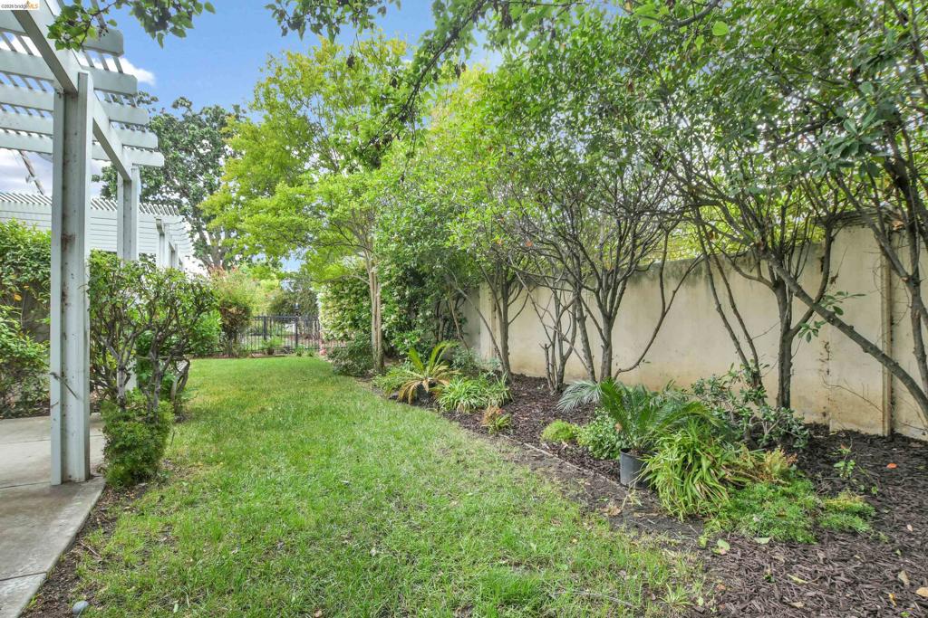 276 Black Amber Way, Brentwood (CC), CA 94513