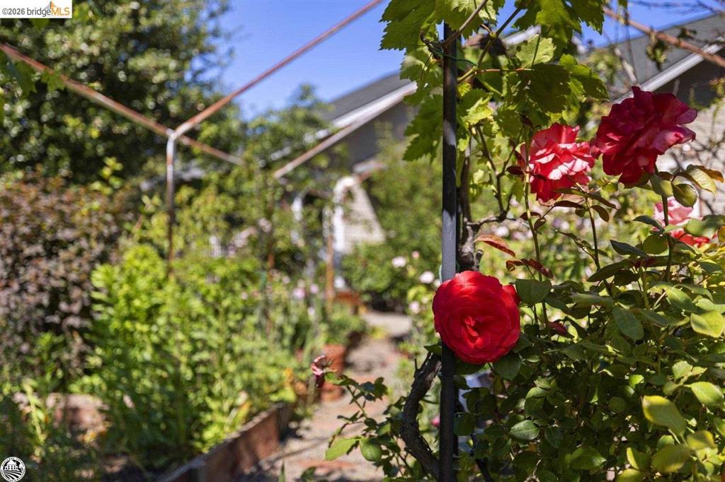 20883 Lynn Lane, Sonora, CA 95370
