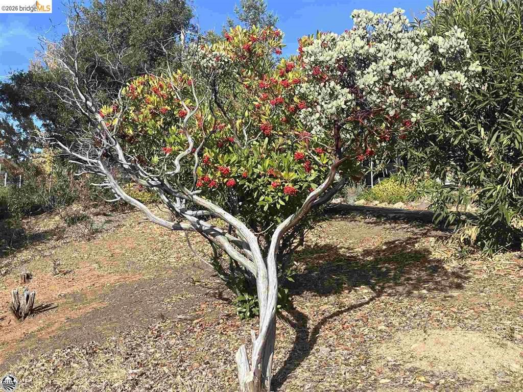 20883 Lynn Lane, Sonora, CA 95370