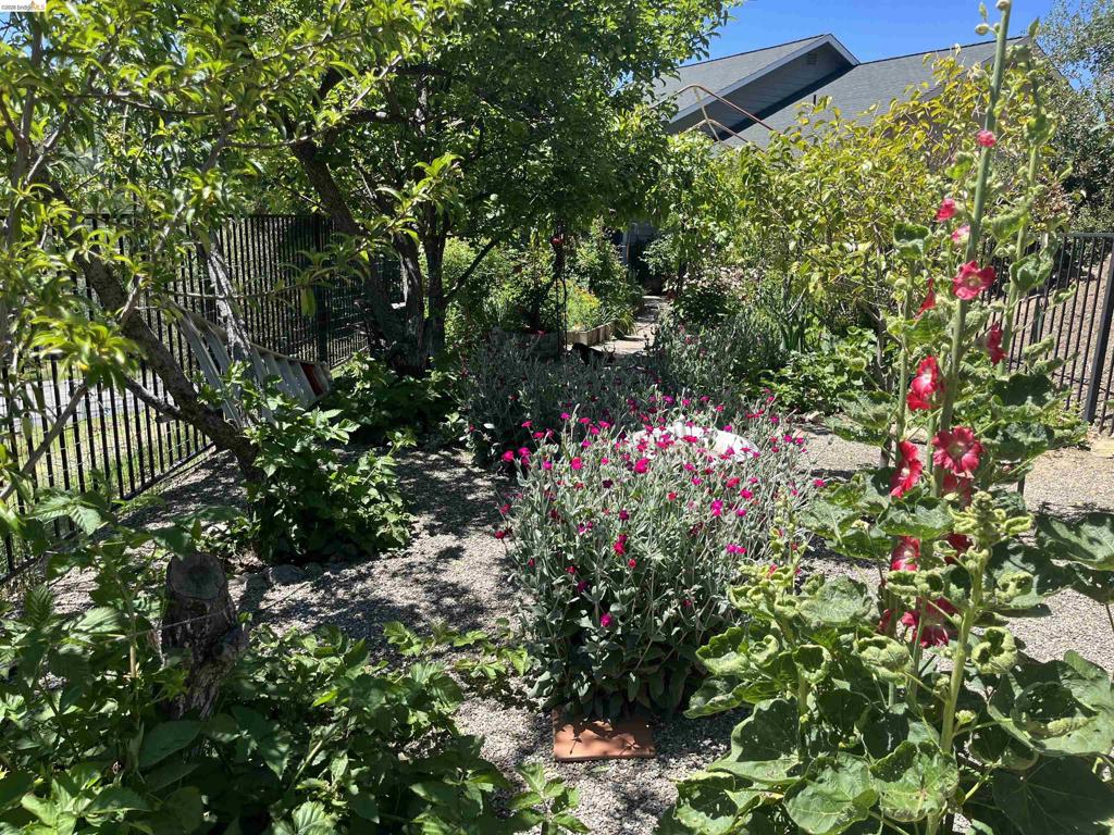 20883 Lynn Lane, Sonora, CA 95370