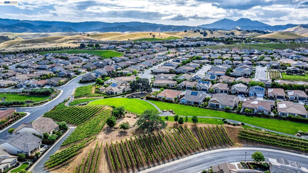 1601 Chianti Ln, Brentwood (CC), CA 94513