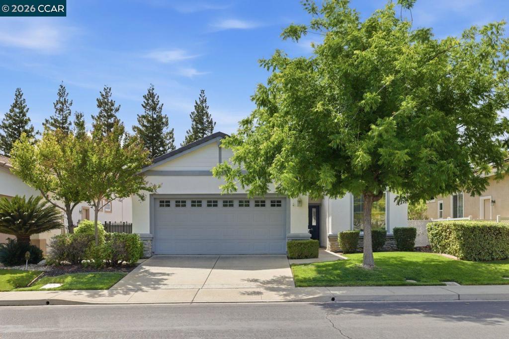 729 Stewart Way, Brentwood (CC), CA 94513