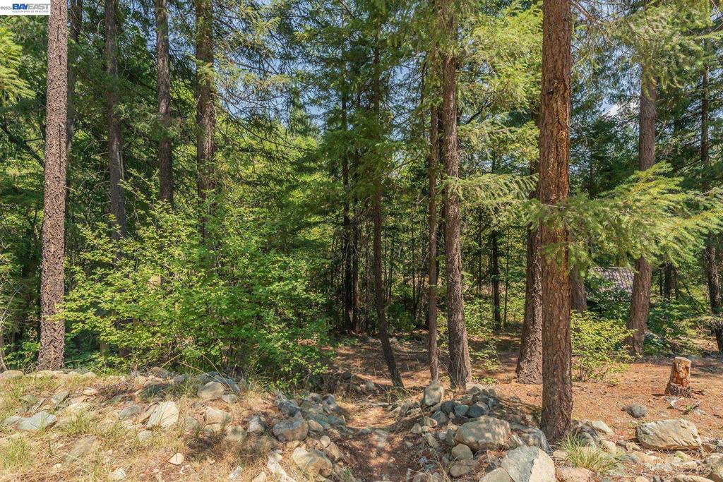 1371 Eagle Creek Loop Rd, Coffee, CA 96091