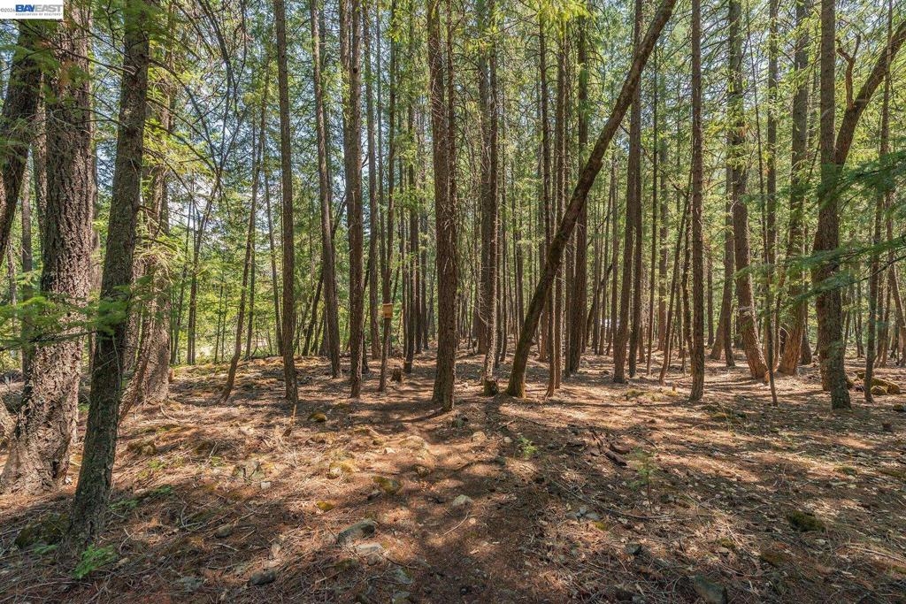 1371 Eagle Creek Loop Rd, Coffee, CA 96091