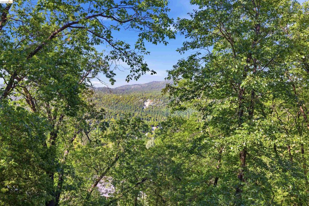 16690 Ridgewood Dr, Sonora, CA 95370