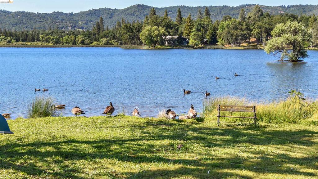 20595 Lori Ln, Sonora, CA 95370